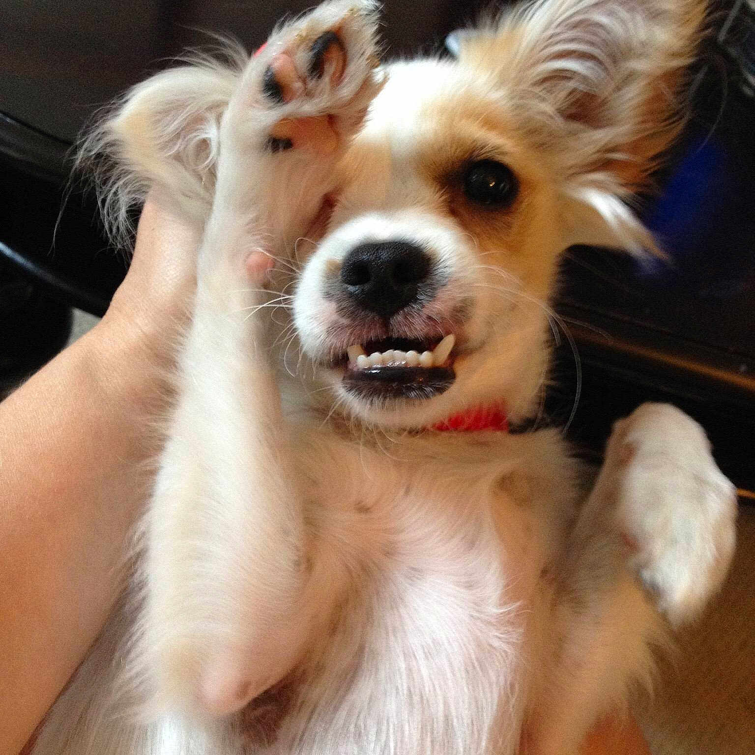 Vito is registered to the contest to win money with this photo: