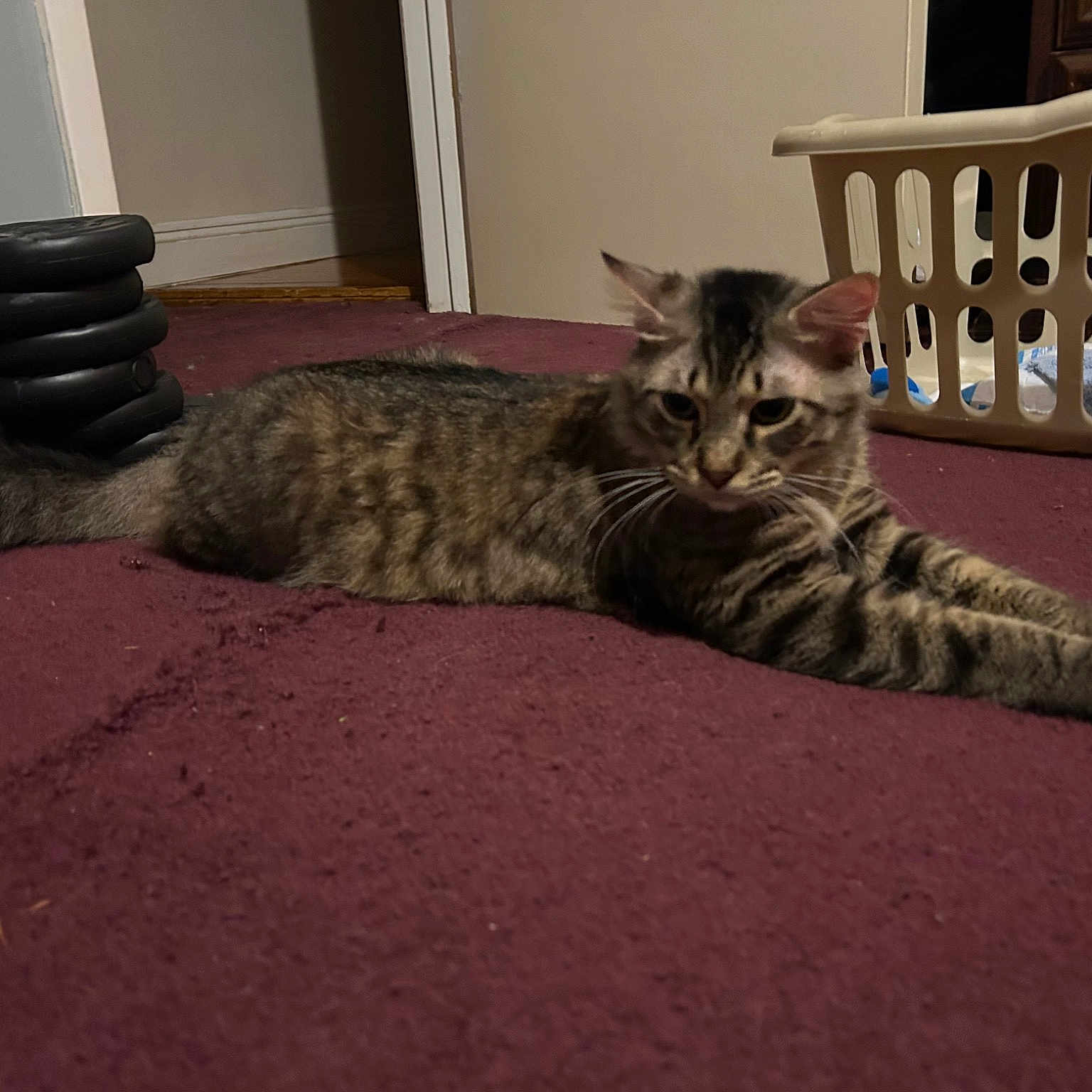 Fatty Butt