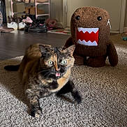 Meow Meow joined the competition — help win amazing prizes! cat, tortoiseshell_cat, plush_toy, domo_kun, carpet, indoor, shoe_rack, door, floor, pet, animal, wide_eyes, open_mouth, surprised, furniture, home, cute, toy, living_room, domestic