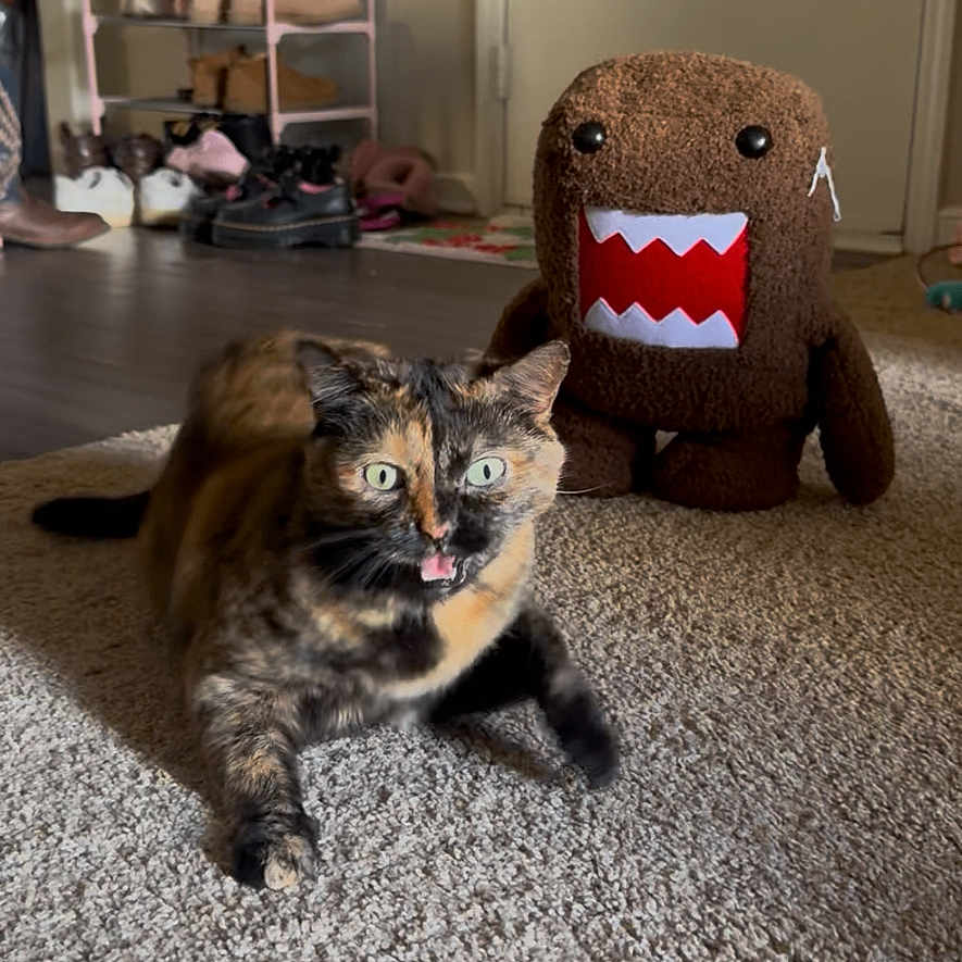 Meow Meow