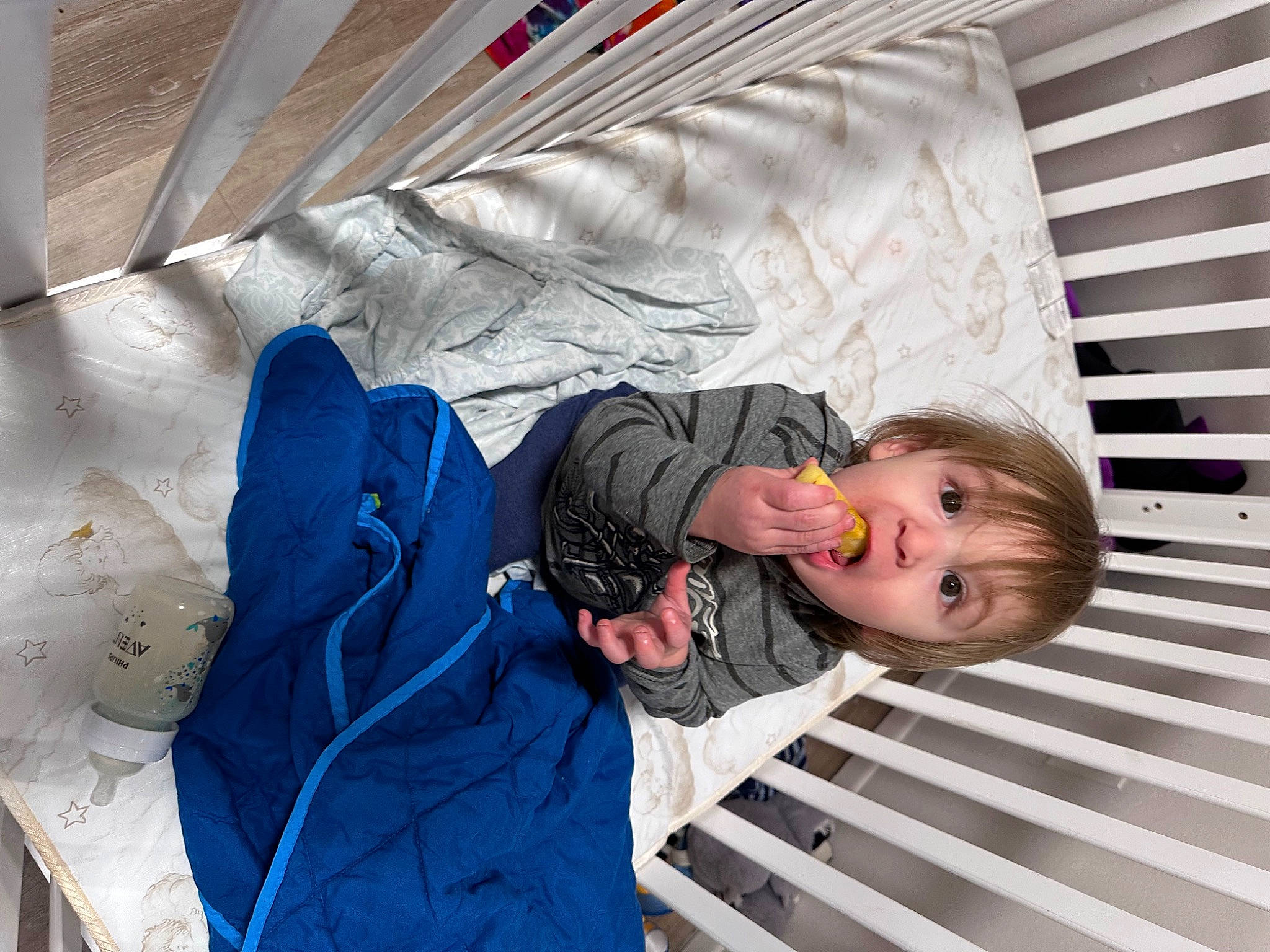 August joined the competition — help win amazing prizes! baby, baby_products, baby_safety, baby_toddler_clothing, ceiling, child, comfort, daylighting, electric_blue, freezing, fun, leisure, pattern, person, room, surprise, textile, toddler, tree, vacation