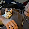 cat, person, hand, lying_down, indoor, necklace, brown_shirt, white_cat, black_markings, winking, relaxed, bed, blanket, casual, resting, cozy, feline, human, closeup, pet