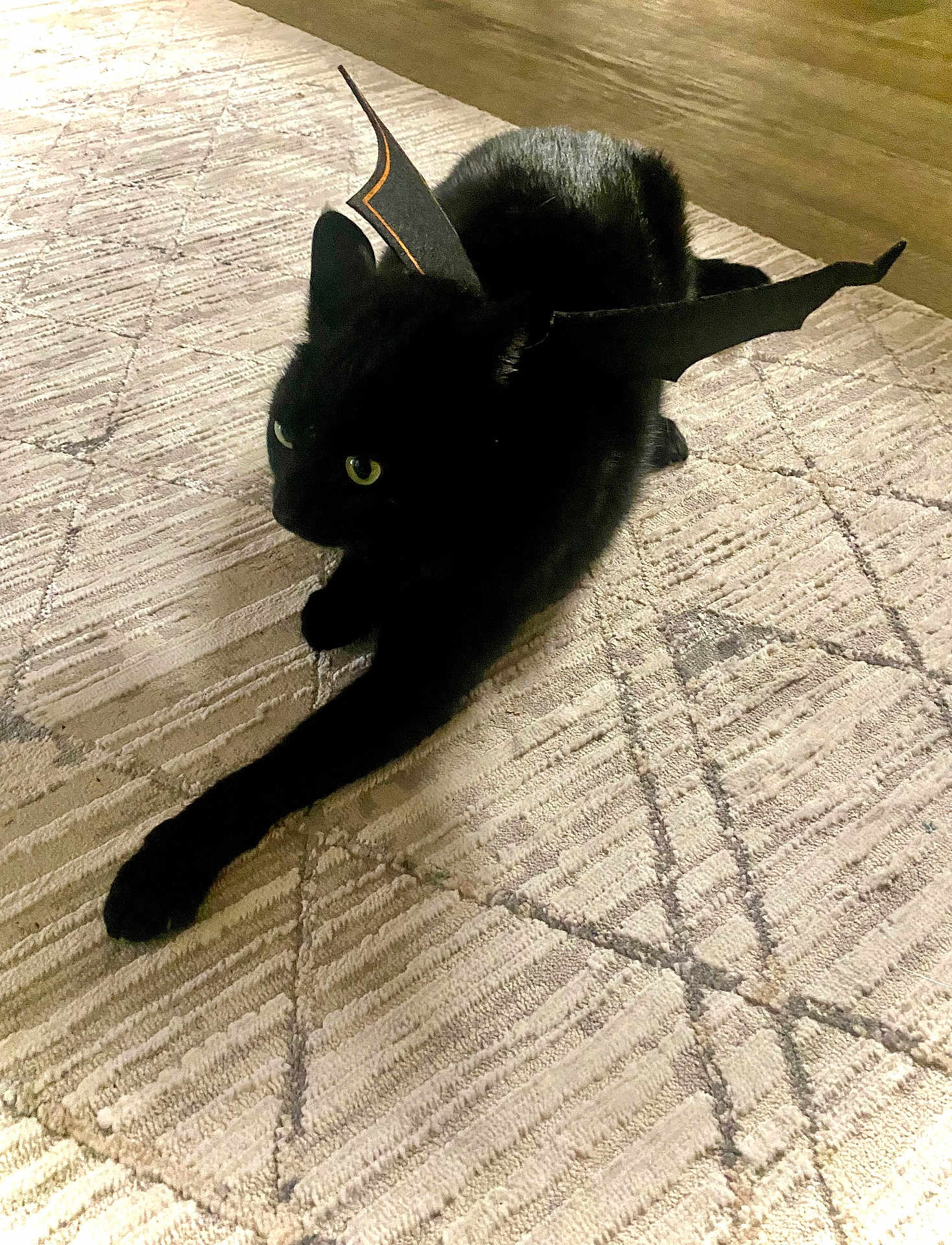 Shadow