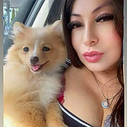 Coqueta joined the competition — help win amazing prizes! car_interior, casual_clothing, cute, daylight, dog, furry_pet, gas_station, happy, holding, long_hair, makeup, necklace, pomeranian, portrait, puppy, seatbelt, selfie, smiling_dog, window, woman