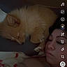 Coqueta joined the competition — help win amazing prizes! app_interface, bed, blanket, canine, casual, closeup, companion, cozy, digital_screen, dog, face, fur, indoor, music, nighttime, person, pet, relaxation, resting, sleeping