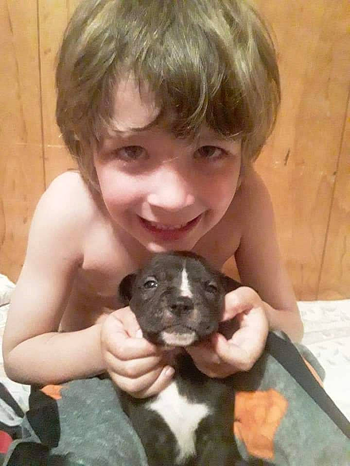 Brayden is registered to the contest to win money with this photo: canidae, carnivore, companion_dog, dog, dog_breed, fawn, finger, fish, gesture, hand, happy, joy, person, skin, smile, snout, sporting_group, thumb, toddler, toy