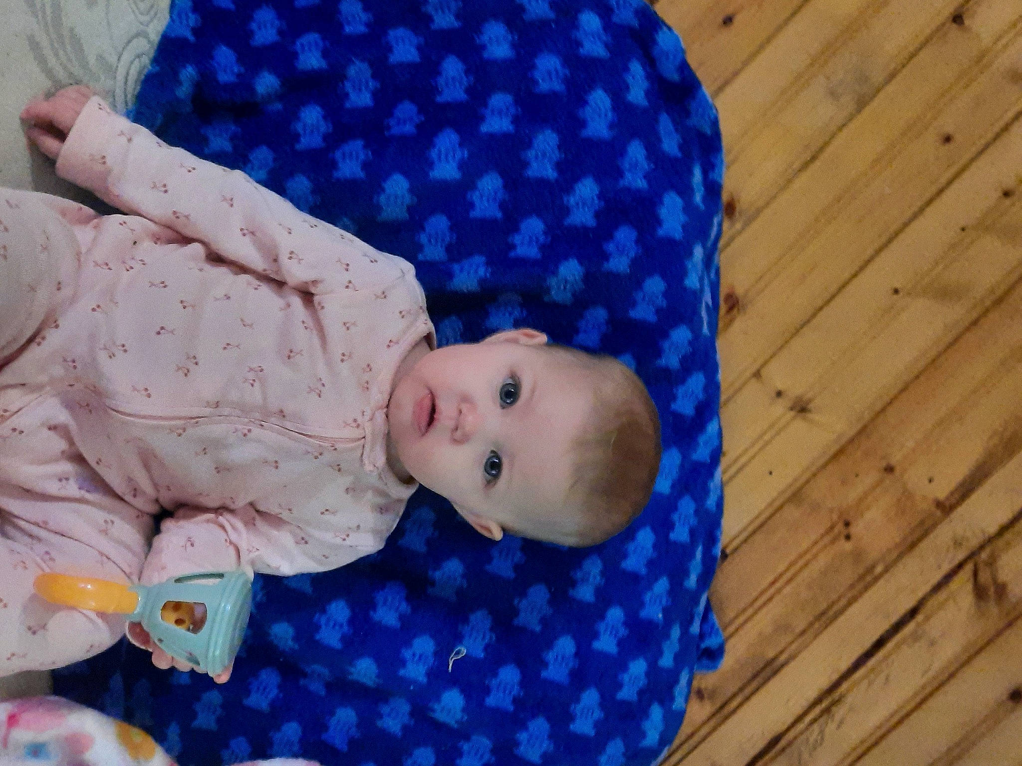 Hazel is registered to the contest to win money with this photo: baby, baby_products, baby_toddler_clothing, cheek, child, comfort, electric_blue, flooring, grass, hardwood, pattern, person, plank, sitting, sleeve, toddler, varnish, wood, wood_flooring, wood_stain