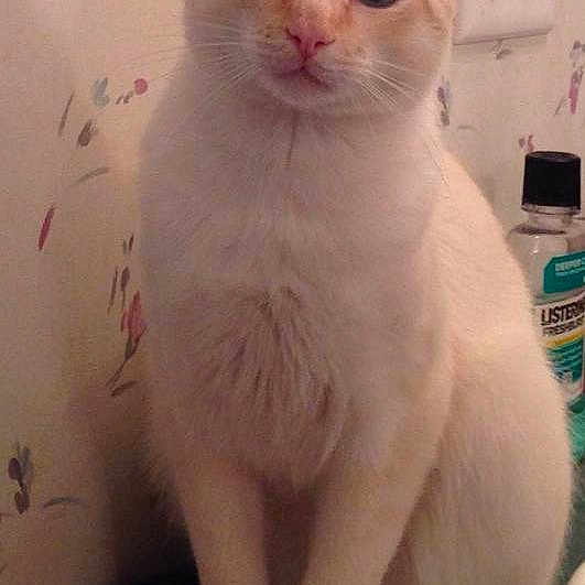Casper