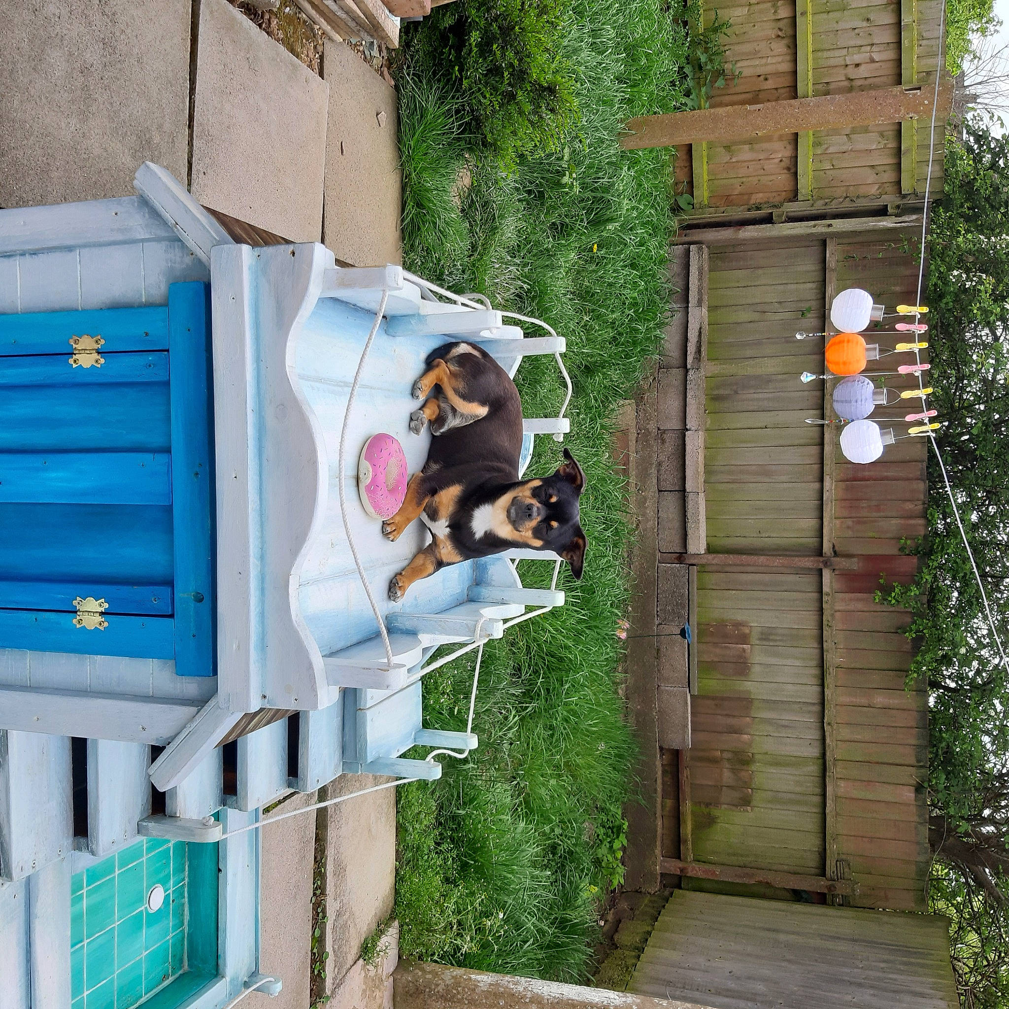 Bailey joined the competition — help win amazing prizes! blue, building, cottage, door, facade, gas, house, leisure, machine, outdoor_structure, plant, siding, stairs, tree, window, wood