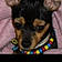 Ruca