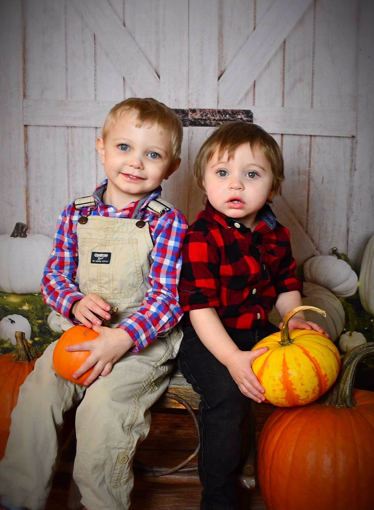 Dex joined the competition — help win amazing prizes! baby_toddler_clothing, calabaza, child, cucurbita, eye, gourd, head, iris, joy, mouth, natural_foods, nose, orange, person, produce, pumpkin, shoe, squash, toddler, vegetable