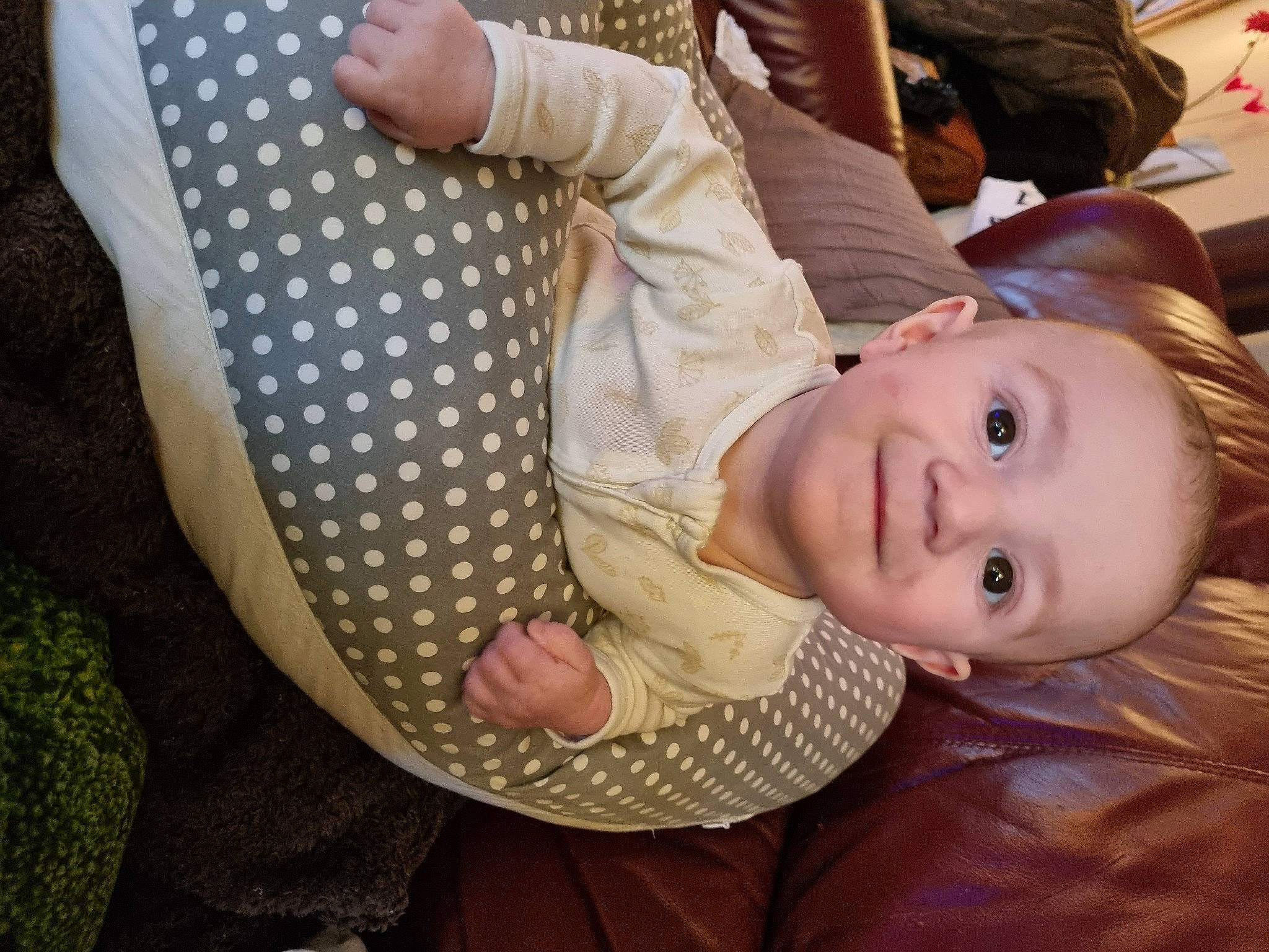 Cullen joined the competition — help win amazing prizes! baby, baby_toddler_clothing, cheek, child, comfort, flooring, fun, gesture, grass, happy, human_body, leisure, pattern, person, sitting, skin, sleeve, smile, toddler, tree