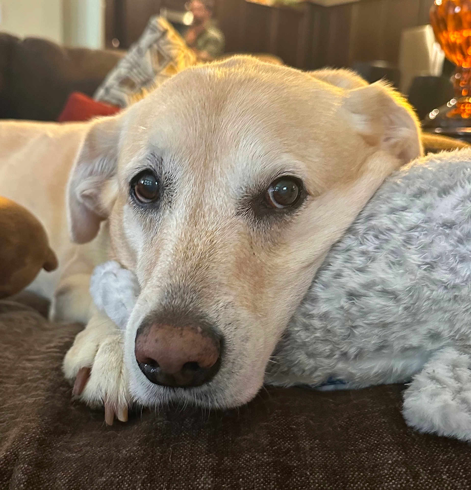 Sammie