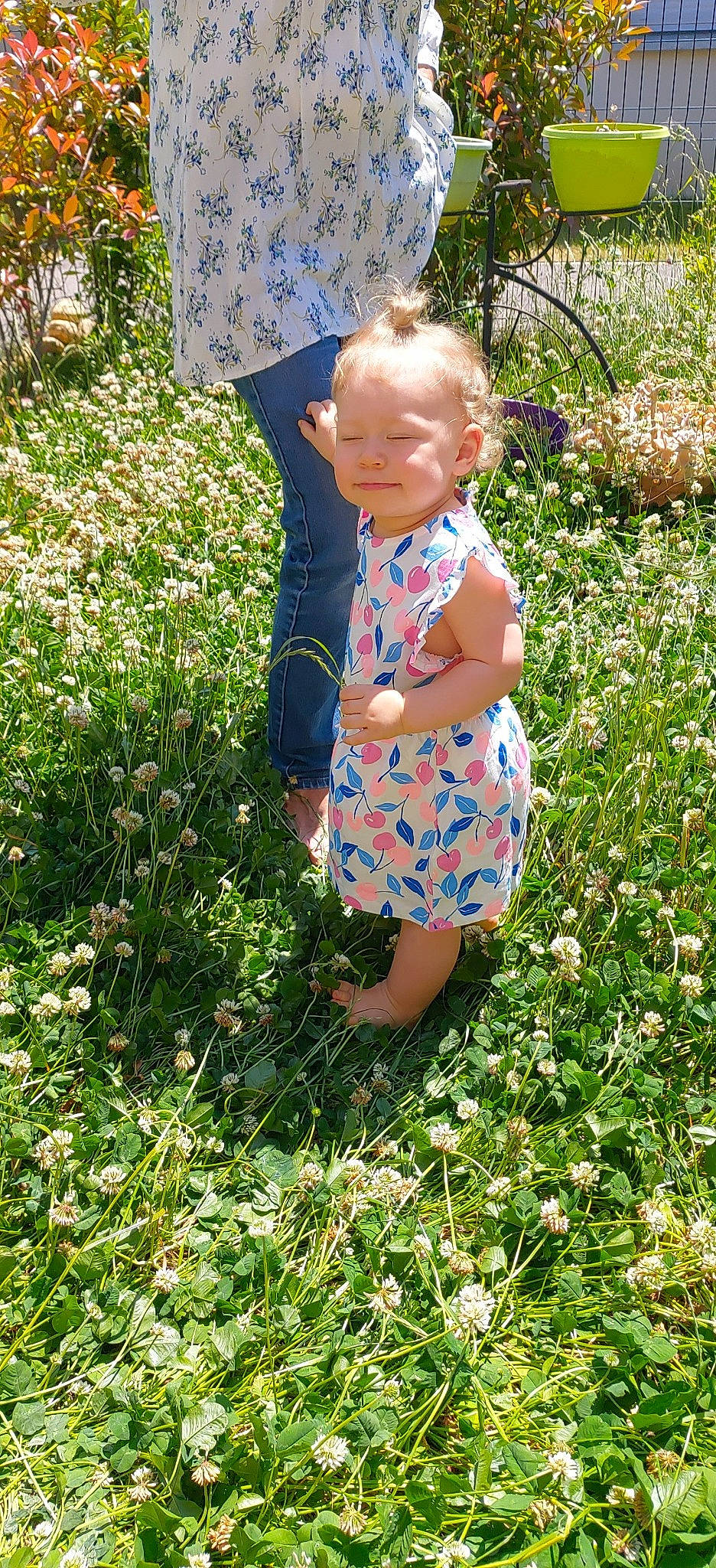 Mylaïa a rejoint le concours — aidez-le/la à gagner de superbes lots ! annual_plant, baby_toddler_clothing, clothing, electric_blue, flower, flowering_plant, garden, grass, grass_family, grassland, groundcover, lawn, meadow, pattern, people_in_nature, person, plant, shrub, summer, terrestrial_plant
