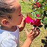Aneria is registered to the contest to win money with this photo: toddler, child, flower, pink_flower, green_leaves, outdoor, sunlight, garden, nature, curious, profile, white_shirt, skin, hand, plant, grass, daytime, young_child, portrait, closeup