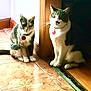 animal, cat, collar, domestic_cat, doorframe, ears, feline, floor, fur, home, indoor, looking, pets, quiet, red_tag, sitting, tail, tile, two_cats, whiskers