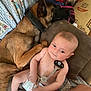 animal, baby, babylaughing, bulldog, canine, couch, cushion, diaper, dog, face, furniture, happy, head, homedecor, person, pet, photography, portrait, puppy, sitting
