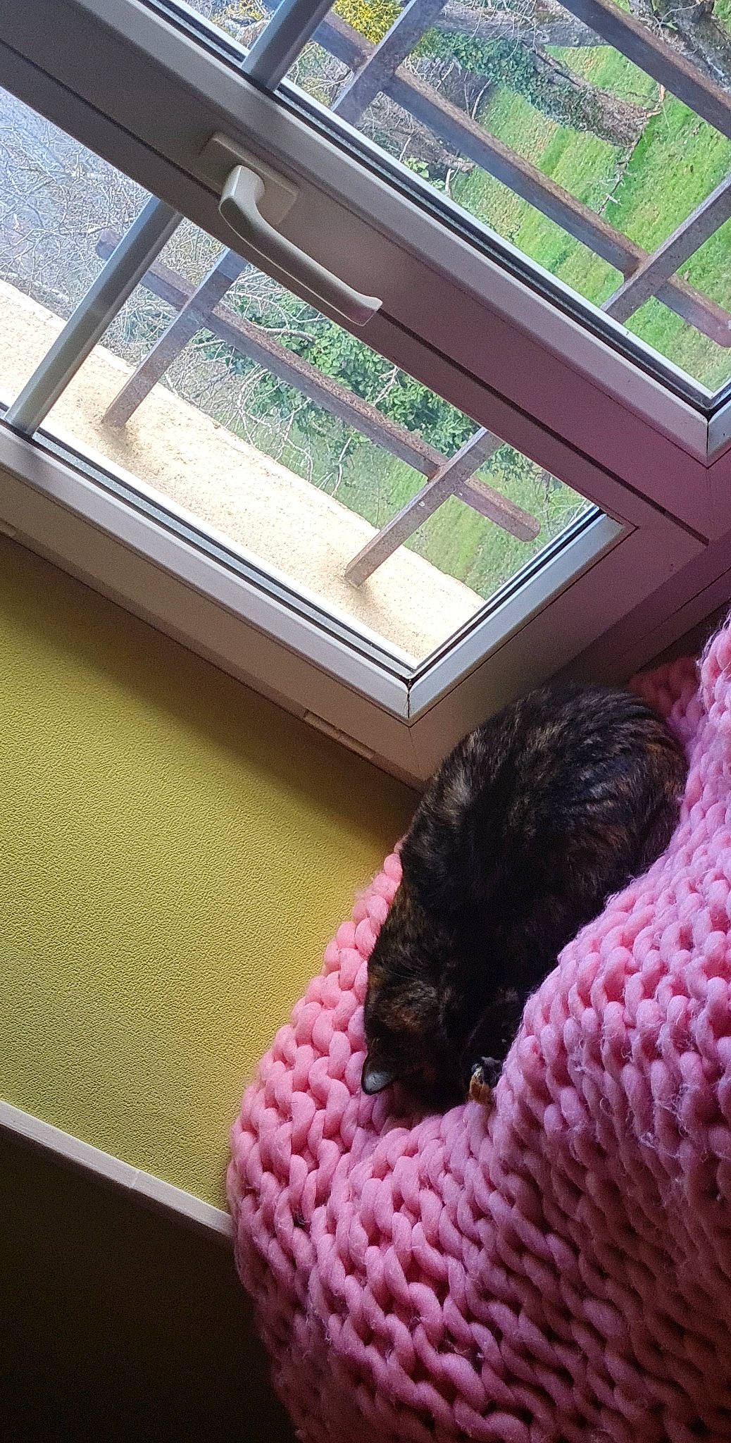 Cannelle participe au concours pour gagner de l'argent avec cette photo : beauty, building, comfort, flooring, glass, grass, hardwood, magenta, pattern, rectangle, roof, room, sash_window, shade, textile, tints_and_shades, window, wood, wool, woolen