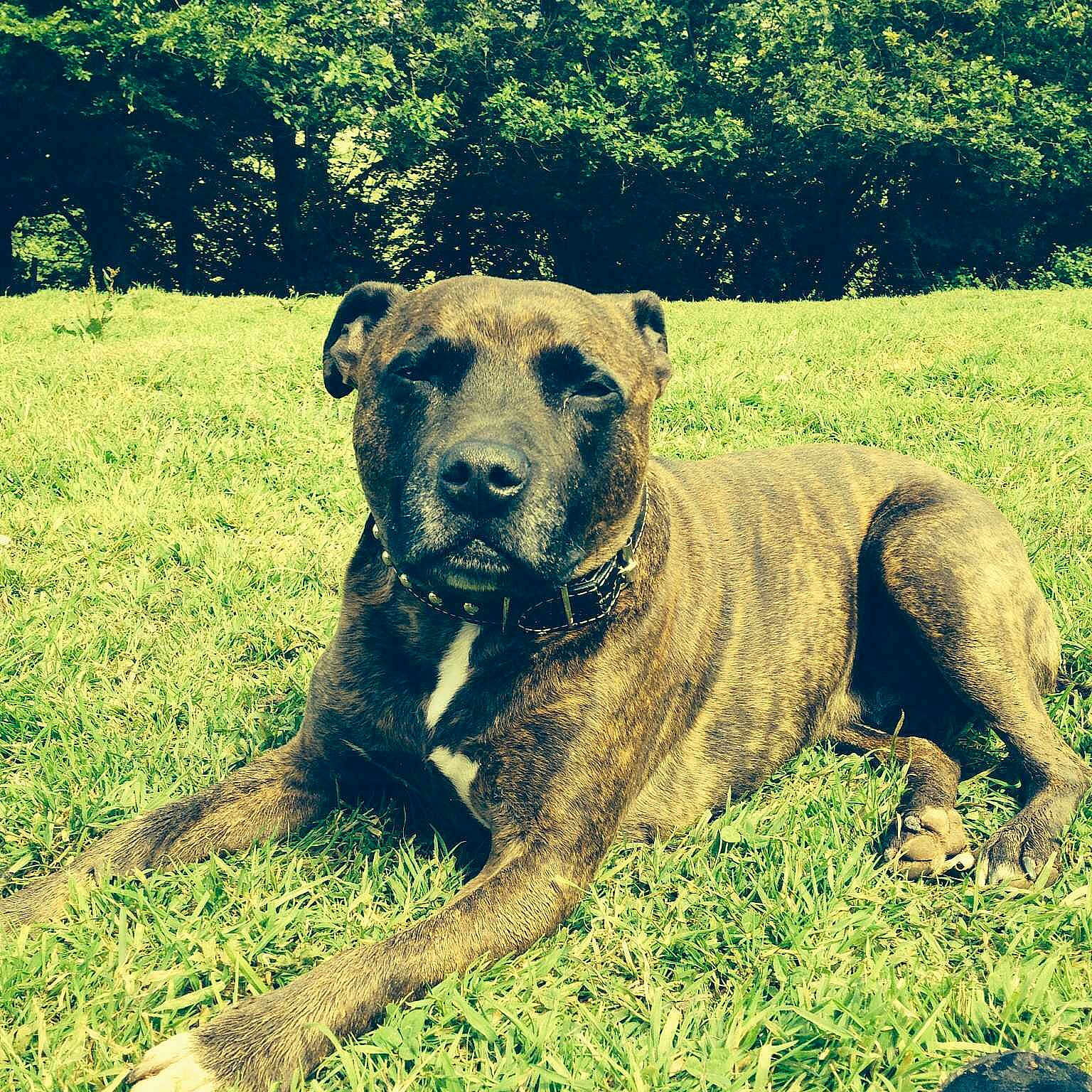 Beau is registered to the contest to win money with this photo: