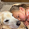 Joey joined the competition — help win amazing prizes! girl, child, dog, labrador, pet, cuddling, affection, companion, portrait, close_up, indoors, home, carpet, wood_cabinet, warm_lighting, blonde_hair, pink_shirt, sleeping_dog, family, cute