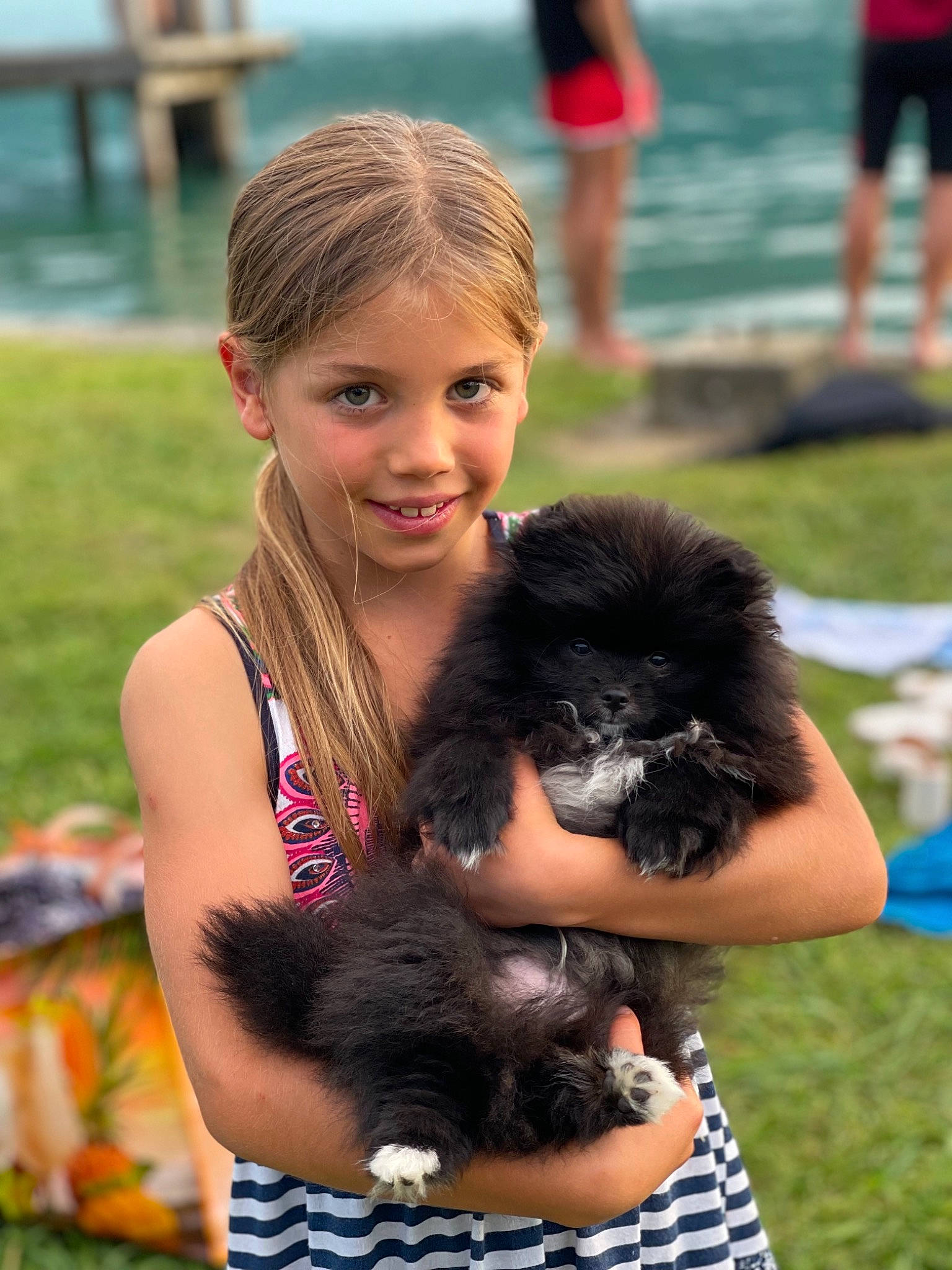 Gandhi participe au concours pour gagner de l'argent avec cette photo : blue, canidae, carnivore, companion_dog, dog, dog_breed, event, fawn, fun, fur, grass, happy, mammal, photograph, shorts, smile, sporting_group, toy_dog, vertebrate, water