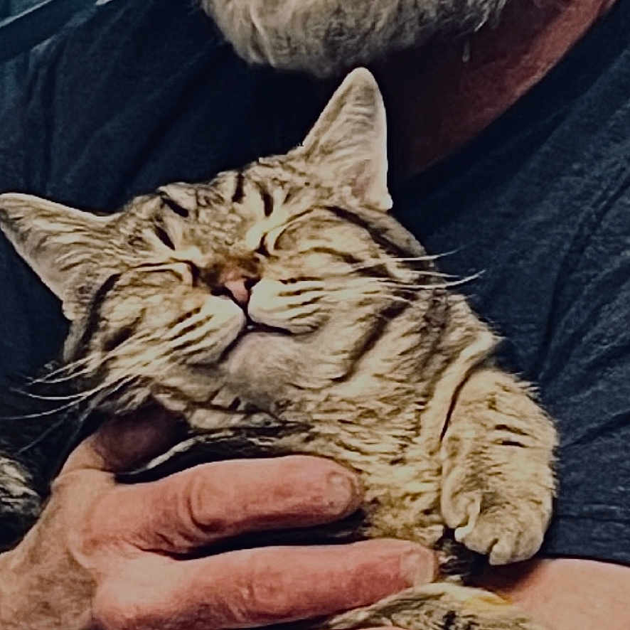 My Boy