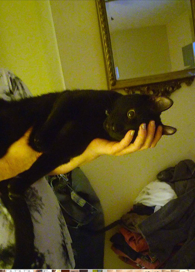 Dutch is registered to the contest to win money with this photo: