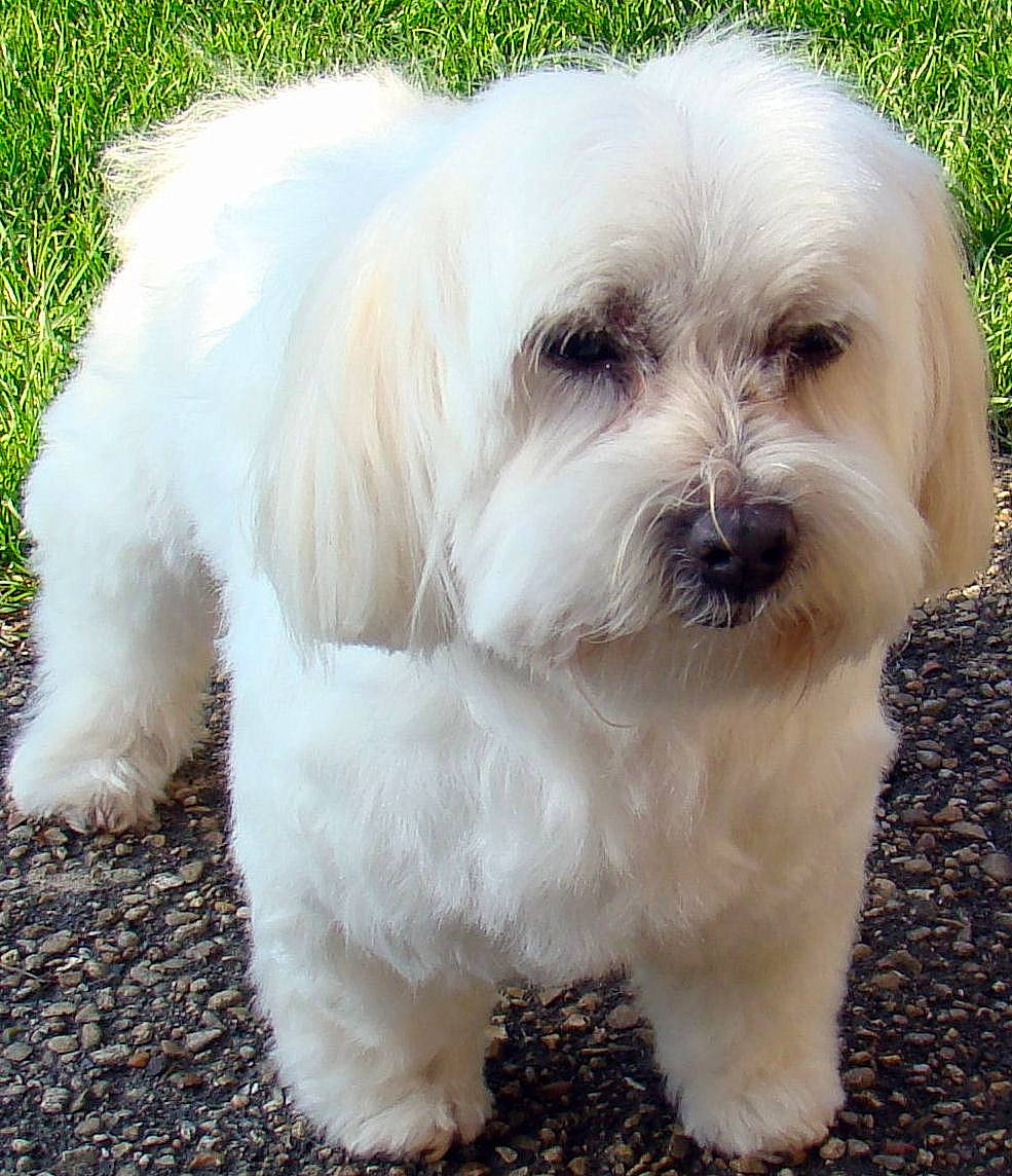 Lady a rejoint le concours — aidez-le/la à gagner de superbes lots !