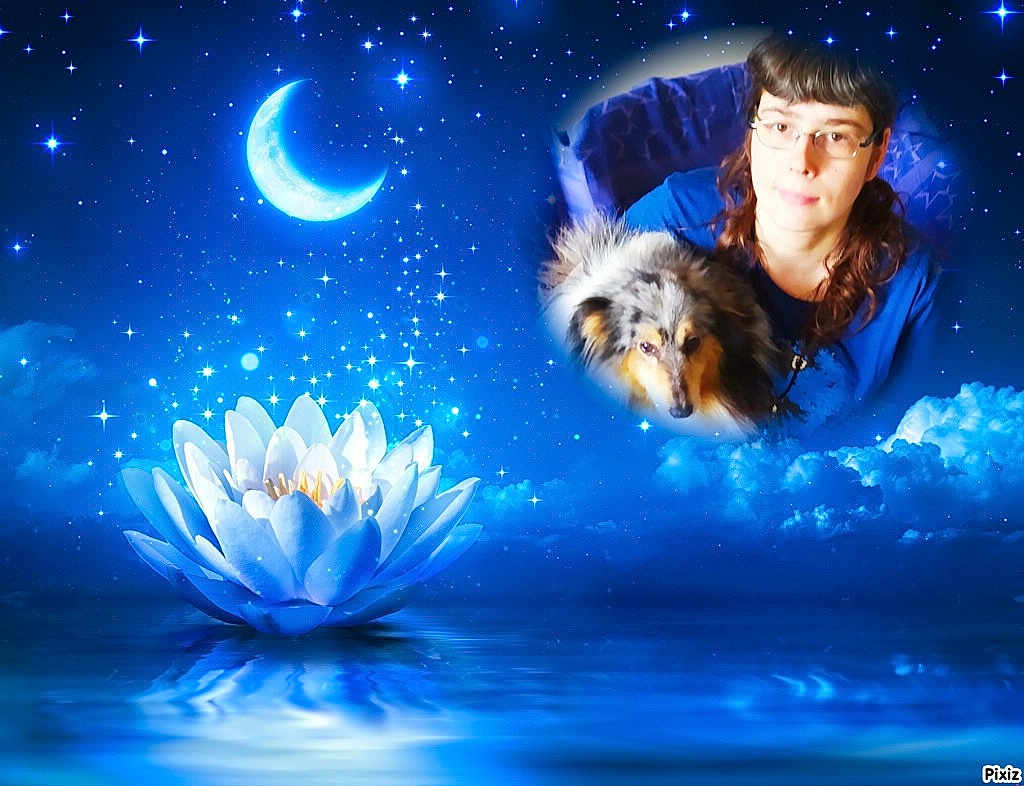 Doubie a rejoint le concours — aidez-le/la à gagner de superbes lots ! woman, dog, flower, lotus, moon, stars, water, reflection, sky, clouds, portrait, glowing, digital_art, superimposed, blue, night, face, pet, calm, fantasy