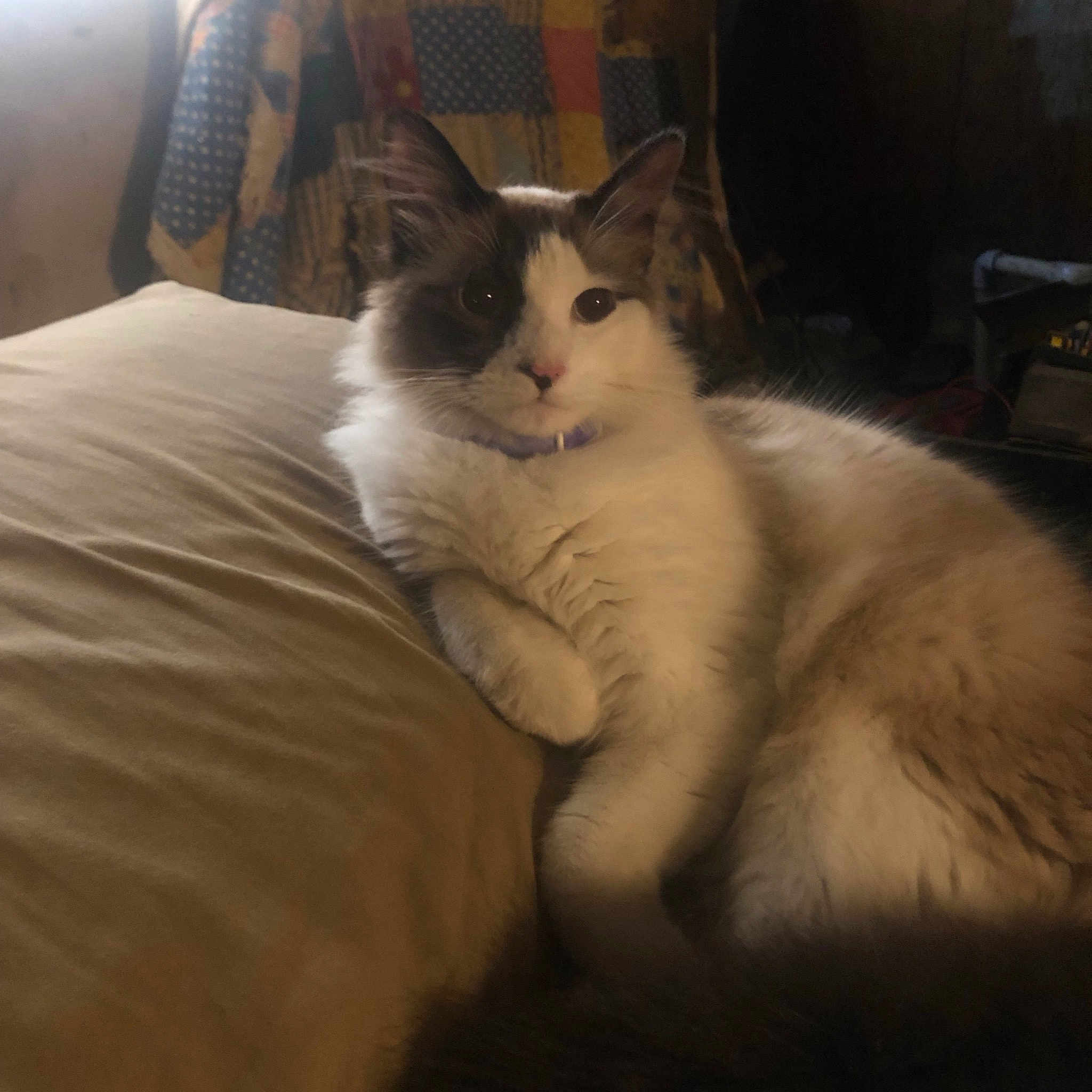 Missy