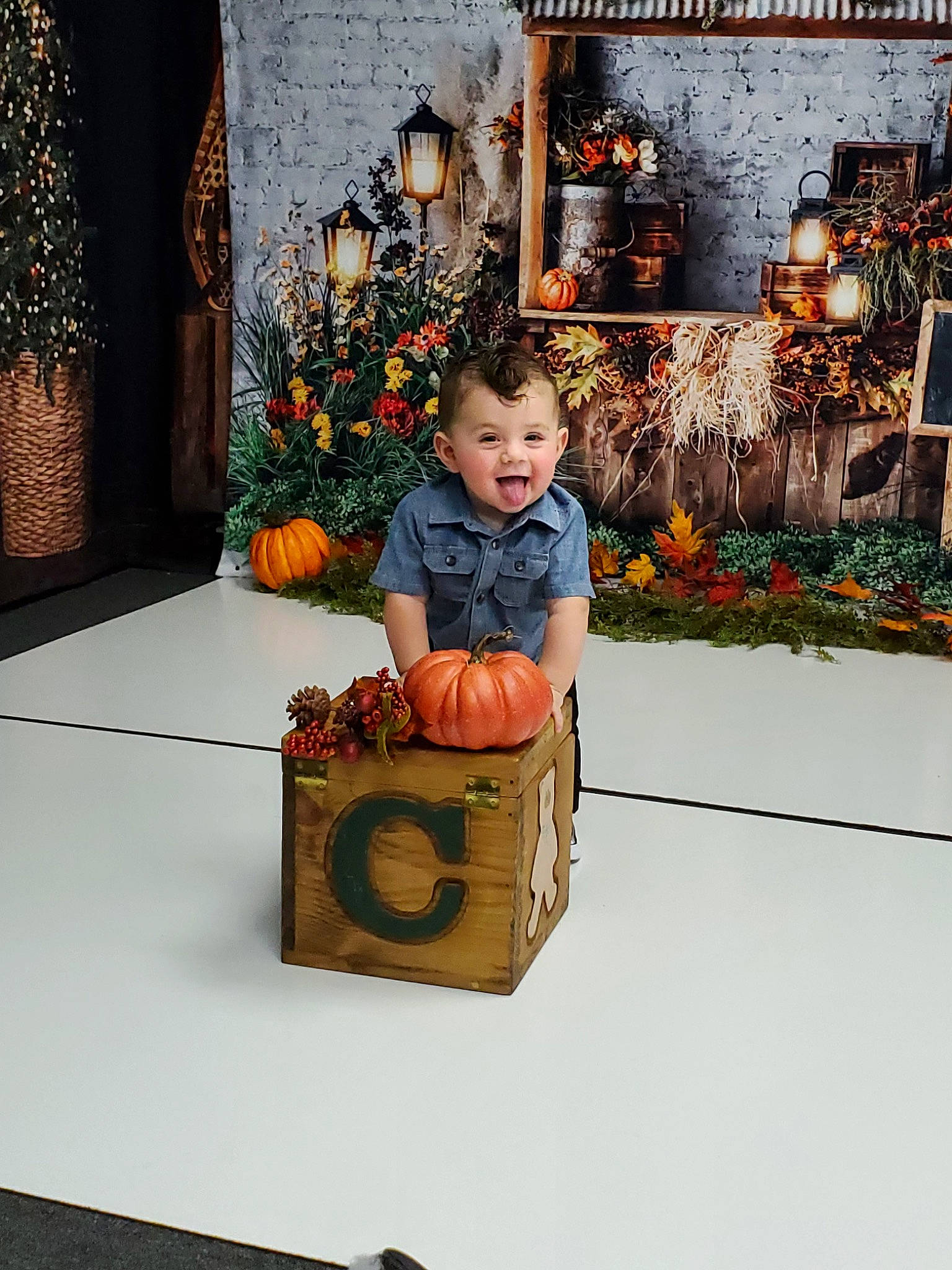 Cruz joined the competition — help win amazing prizes! baby, cardboard, carton, child, door, event, flooring, floral_design, happy, holiday, orange, packing_materials, person, picture_frame, plant, room, shipping_box, sitting, toddler, wheel