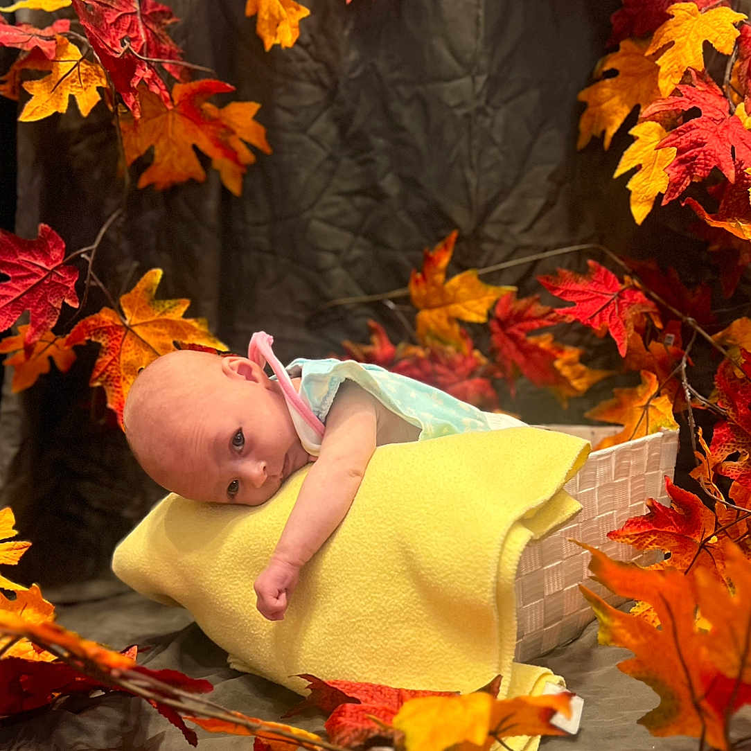 Haizley joined the competition — help win amazing prizes! autumn, baby, basket, blanket, cozy, cute, decor, fabric, fall_leaves, indoor, infant, lying_down, newborn, orange, person, portrait, red, seasonal, soft_texture, yellow