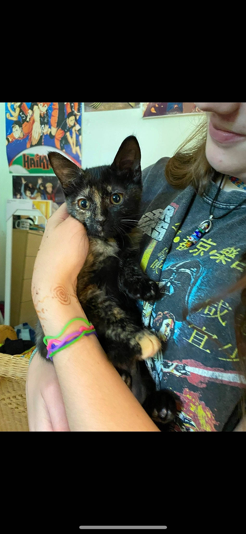 Ana is registered to the contest to win money with this photo: arm, black_hair, carnivore, cat, cool, fawn, felidae, gesture, hand, human_leg, leg, long_hair, nail, neck, small_to_medium_sized_cats, snout, thigh, trunk, whiskers, wrist