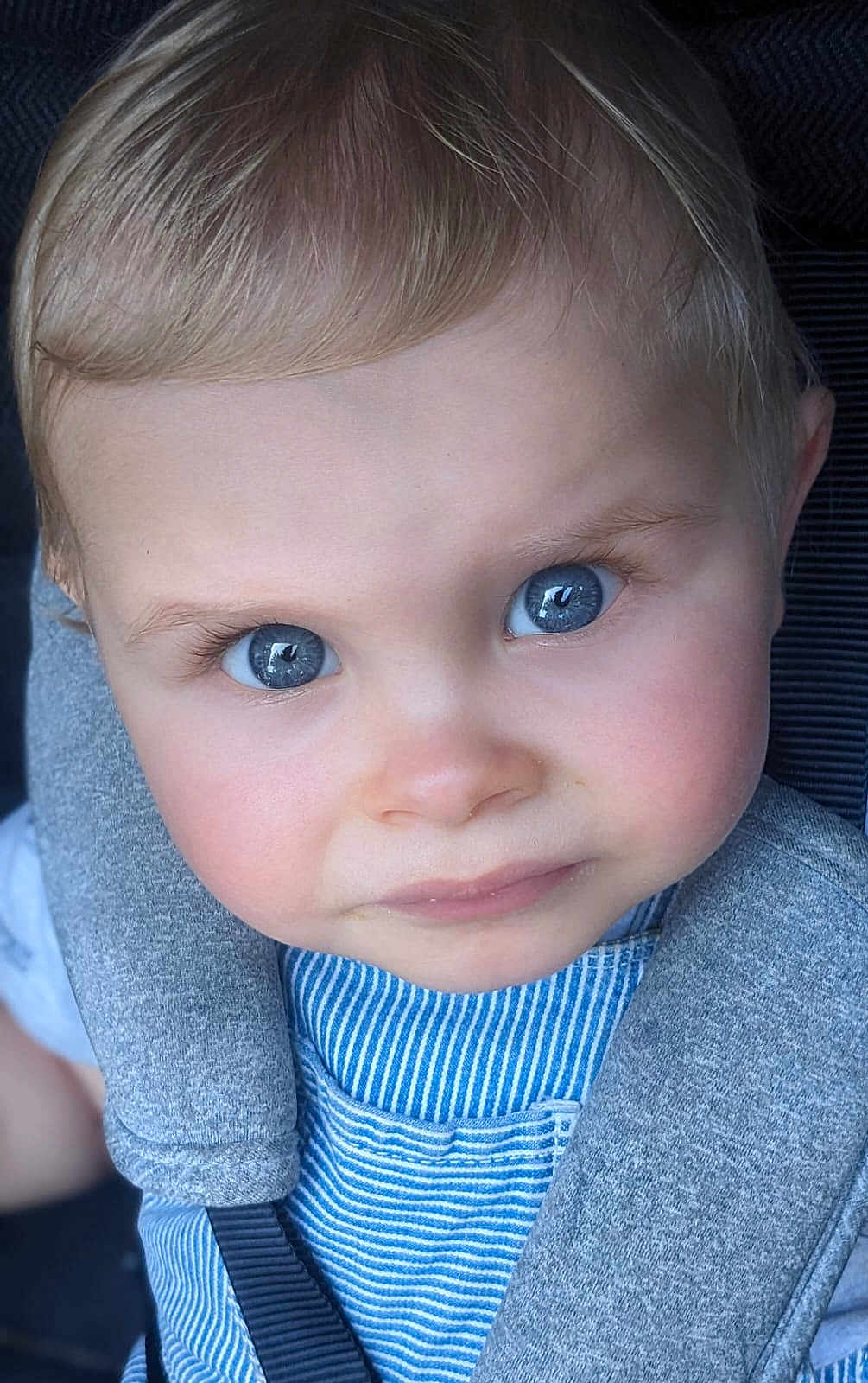 Tom participe au concours pour gagner de l'argent avec cette photo : child, toddler, face, blue_eyes, curious, close_up, striped_shirt, seatbelt, car_seat, soft_lighting, blond_hair, innocent, baby, portrait, person, clothing, young_child, cute, skin, eyelashes