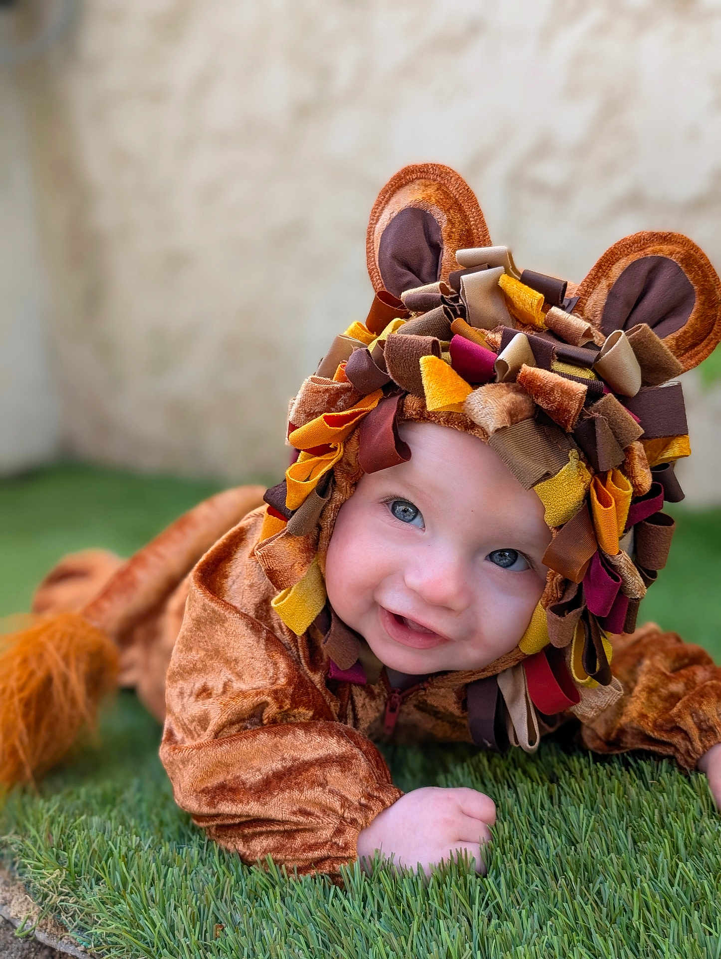 Léo participe au concours pour gagner de l'argent avec cette photo : baby, child, costume, lion, cute, smiling, face, blue_eyes, grass, outdoor, playful, portrait, animal_costume, fabric, headwear, infant, crawling, soft_texture, colorful, happy