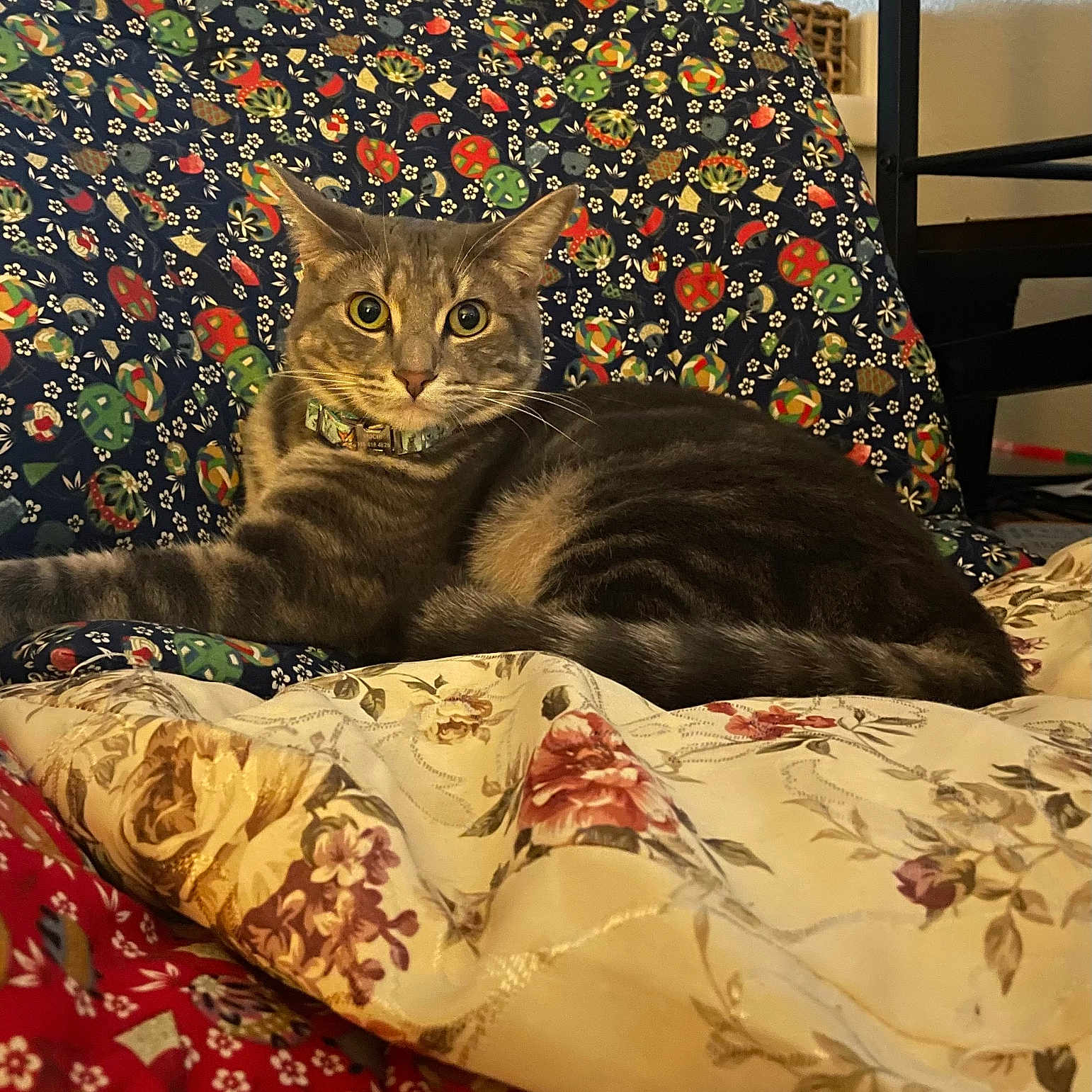 Mochi