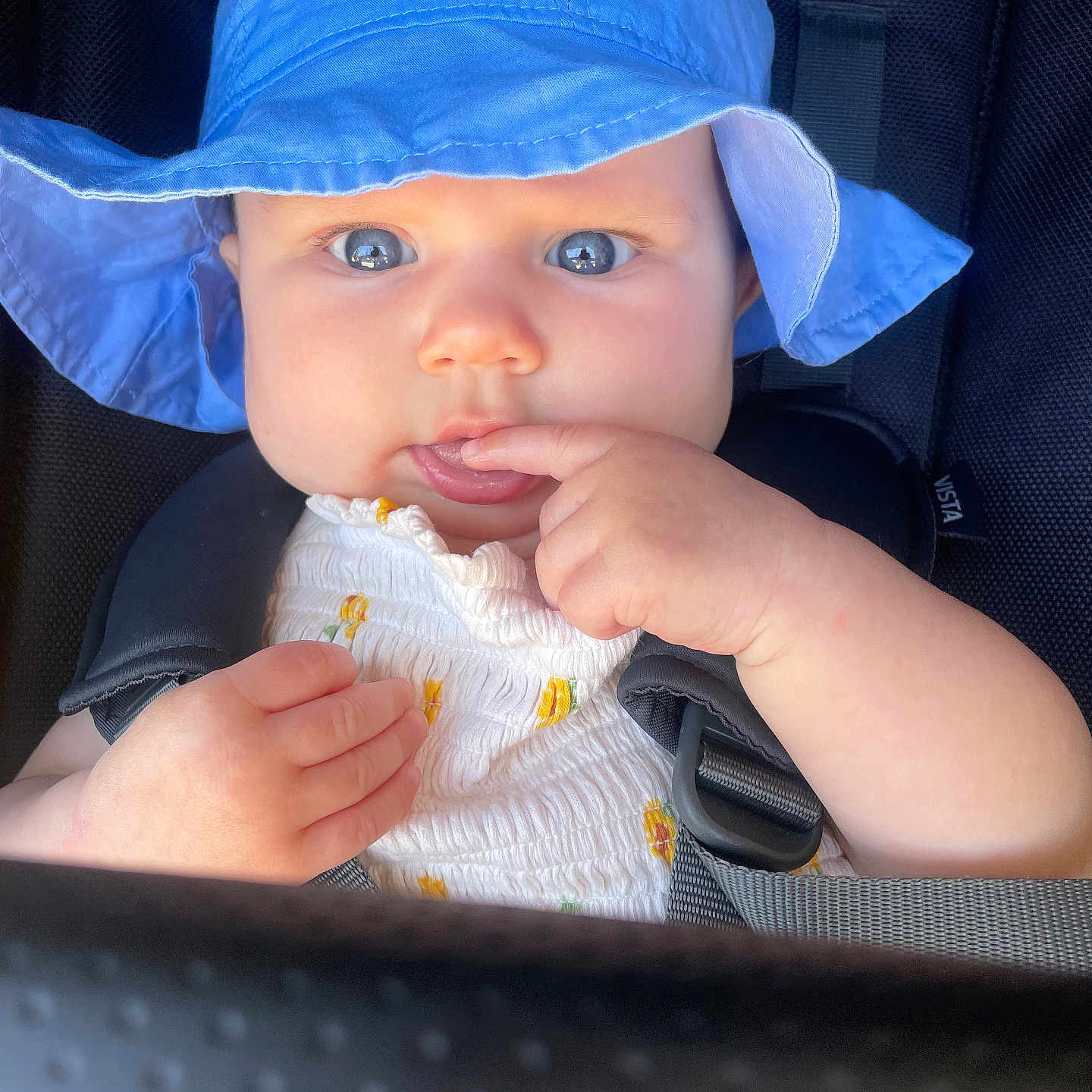 Atlas is registered to the contest to win money with this photo: baby, blue_hat, child, curious, face, hand, infant, outdoor, people, portrait, seatbelt, stroller, sunhat, young_child, white_clothing, yellow_flower_pattern, closeup, skin, expression, bright_eyes