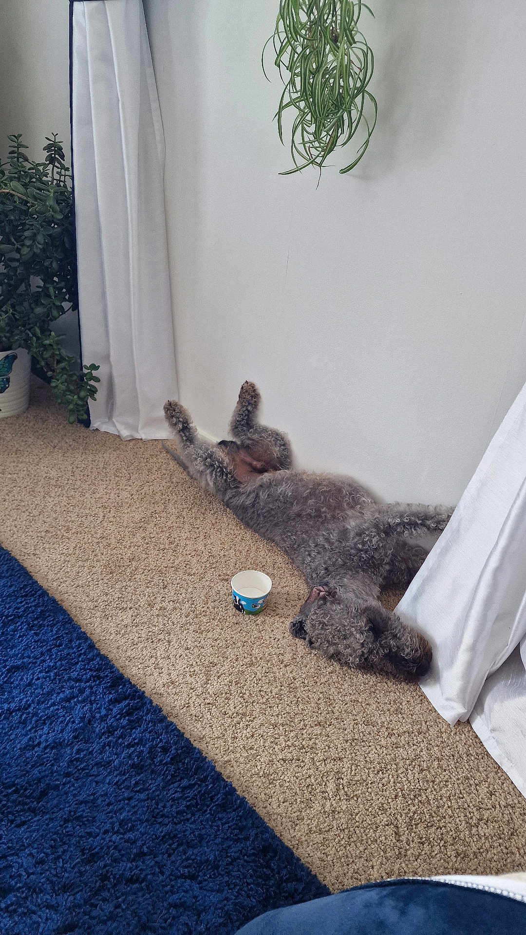 Bramble