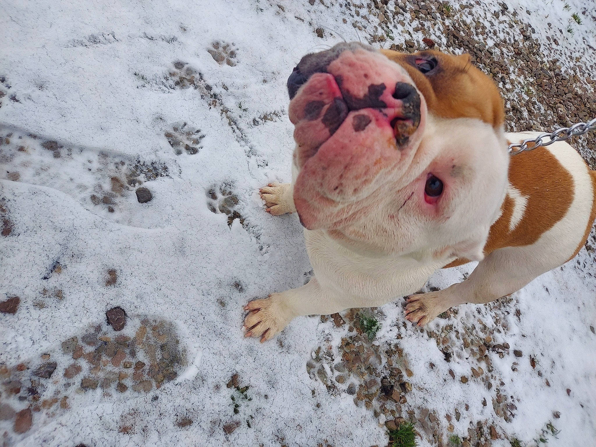Max