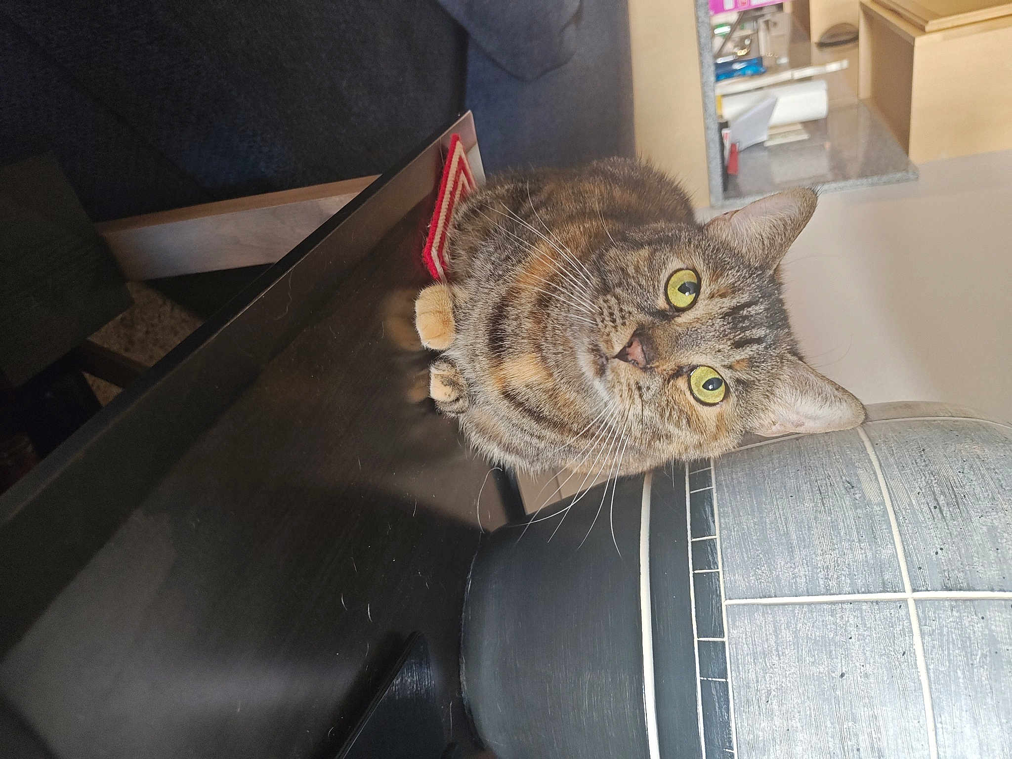 Mocha