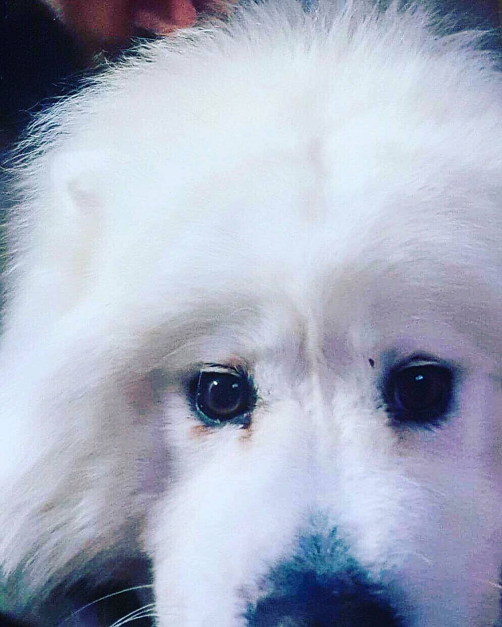 Indie participe au concours pour gagner de l'argent avec cette photo :