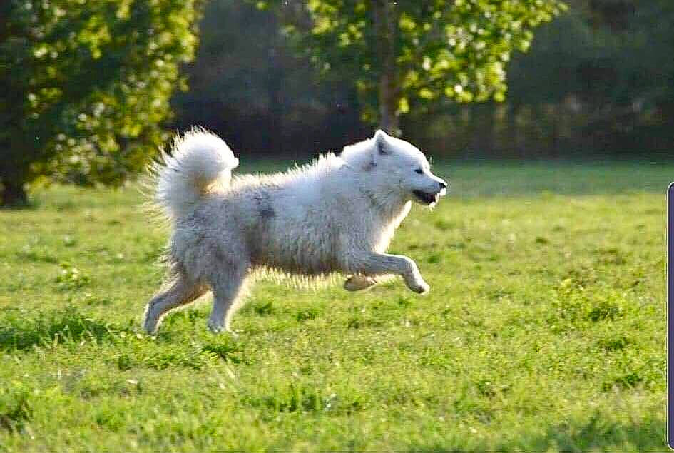 Indie participe au concours pour gagner de l'argent avec cette photo :