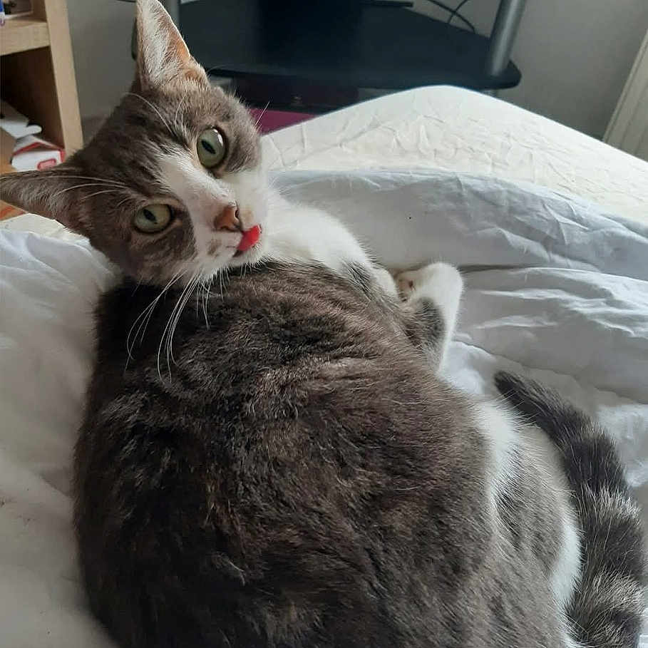 Minnie