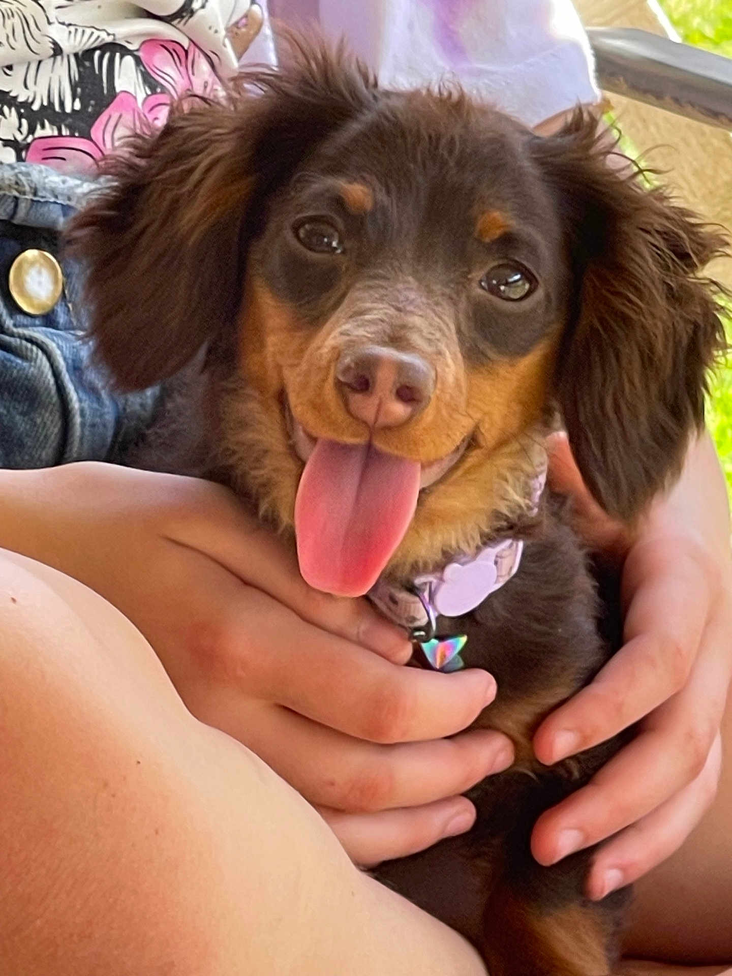 Dobby