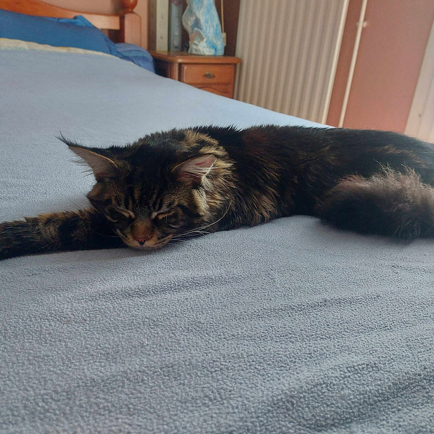 Aiko