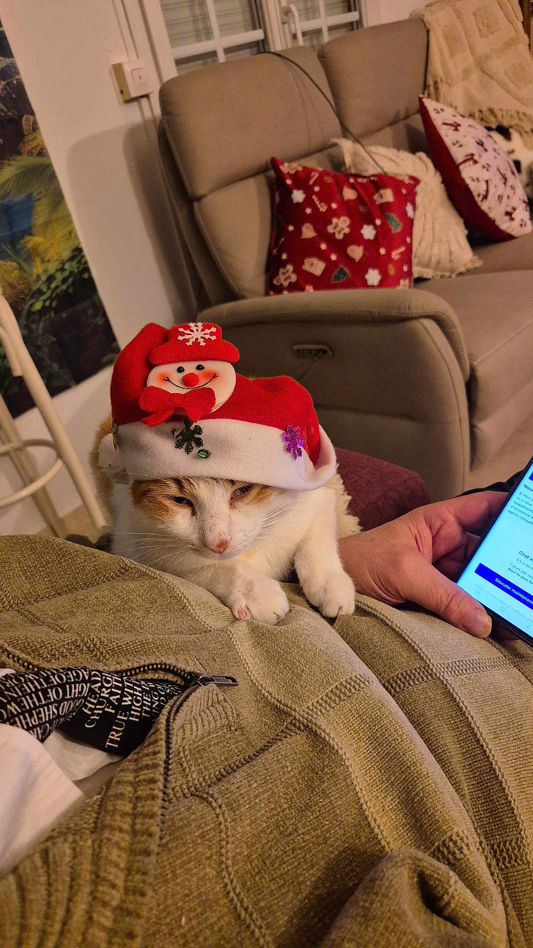 Petz participe au concours pour gagner de l'argent avec cette photo : beige, blanket, cat, christmas, cozy, decor, hand, holiday, indoors, pet, phone, pillow, red, relaxation, resting, santa_hat, snowman, sofa, textile, white