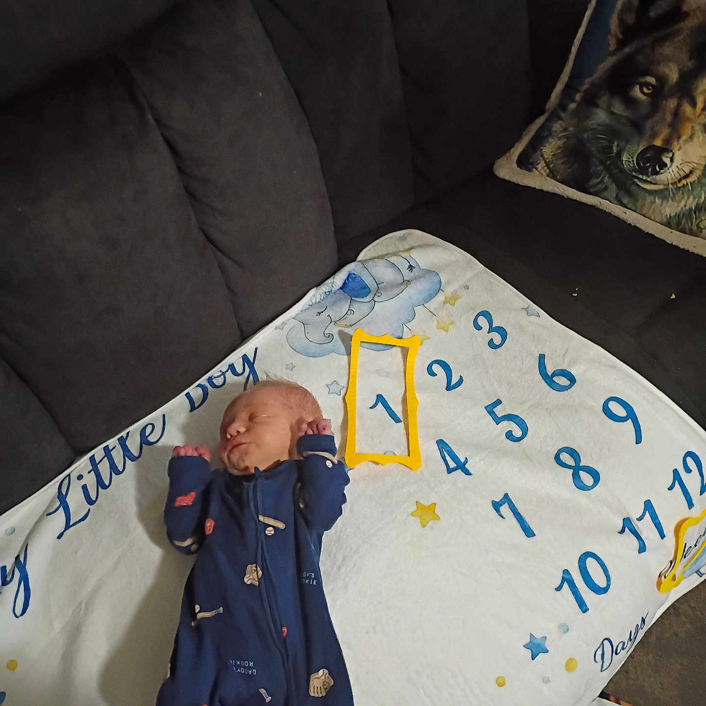 Daniel joined the competition — help win amazing prizes! baby, infant, onesie, blanket, milestone_blanket, numbers, stars, couch, pillow, wolf_pillow, sleeping, indoors, clothing, text, soft_furnishing, carpet, peaceful, child, newborn, resting