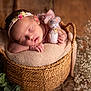 baby, sleeping, basket, headband, flower, toy, mouse, blanket, greenery, flowers, babybreath, cozy, soft, peaceful, portrait, infant, cute, relaxing, woodenfloor, homedecor