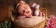 élise participe au concours pour gagner de l'argent avec cette photo : baby, sleeping, basket, toy, felt_mouse, flower, pink_flower, greenery, headband, newborn, soft_lighting, peaceful, infant, cute, portrait, hand, pillow, woven_basket, cozy, closeup
