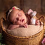 baby, sleeping, basket, toy, felt_mouse, flower, pink_flower, greenery, headband, newborn, soft_lighting, peaceful, infant, cute, portrait, hand, pillow, woven_basket, cozy, closeup